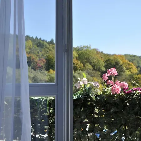 Apartament Centrum Viola * Krynica-Zdrój