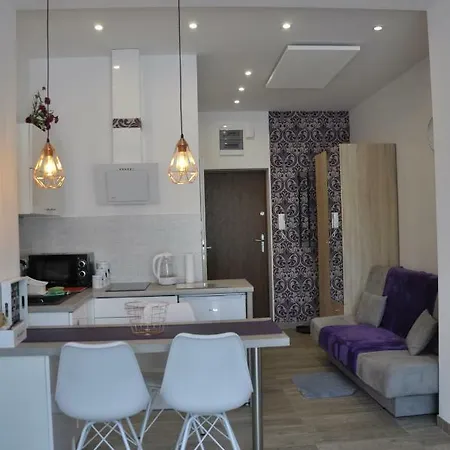 Apartament Centrum Viola * Krynica-Zdrój